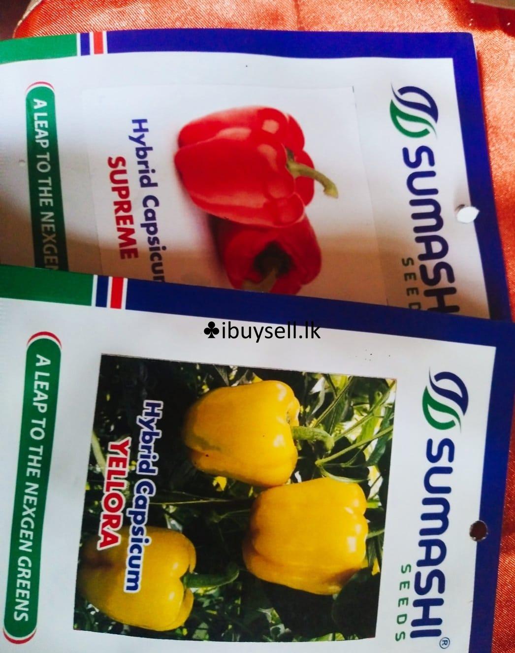 Fruits, Seeds & Herbs For Sale!