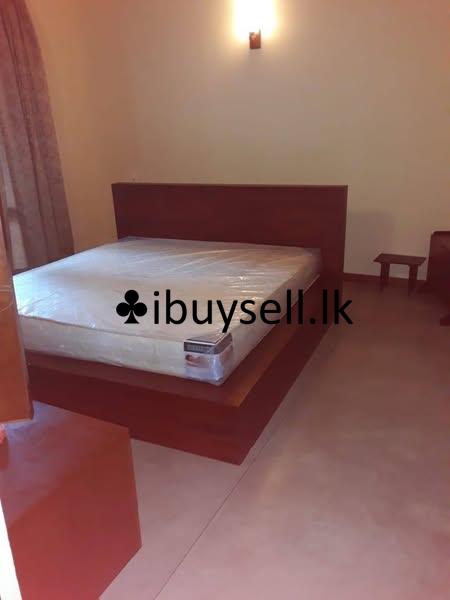 Two storied fully furnished Luxury house in Pitta kotte for rent