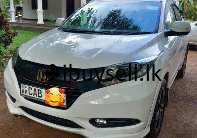 480966335_629306426707575_7247187031509528303_n