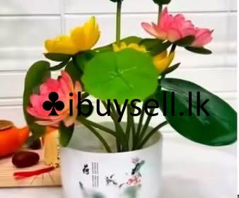 480970581_122212520054198679_6007158487667305278_n