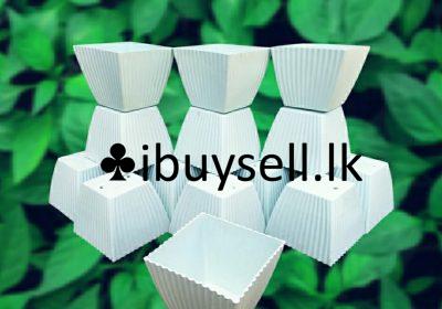 480976027_120219021076260202_3740050083673774266_n