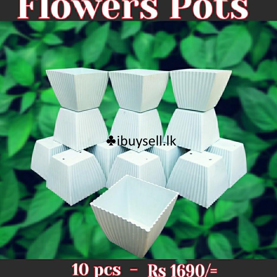 Flowers pots