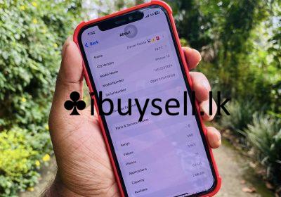 480991424_1185394849600640_3787679038969472522_n