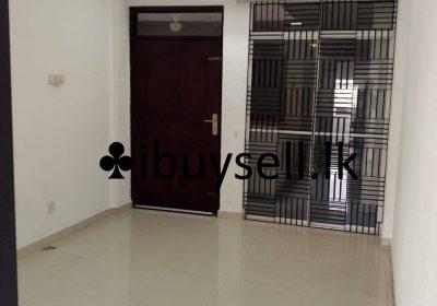 481013043_1233511545445190_7807871774225637923_n