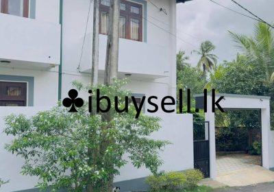 481051855_1208502974609183_1184320696428770990_n