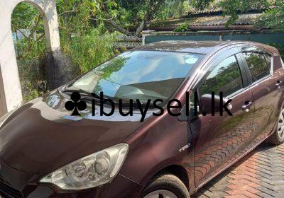 481053347_1133143831840636_131386081842403933_n