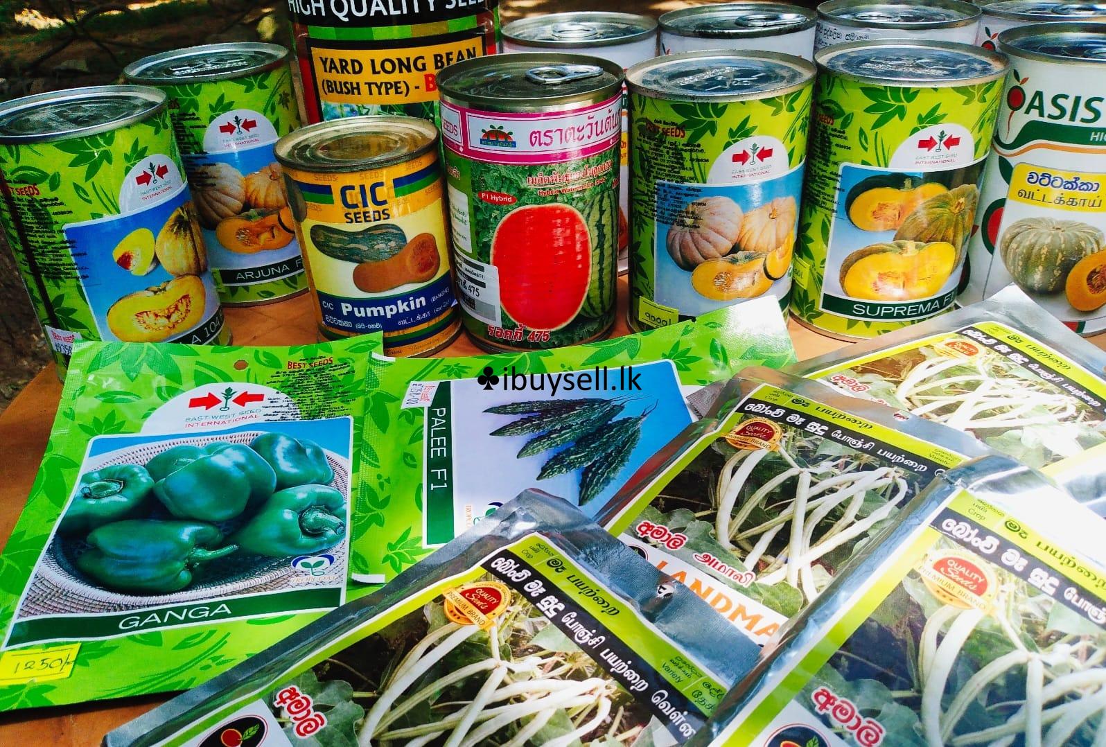 Fruits, Seeds & Herbs For Sale!