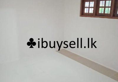 481057705_122216195300075058_5721352497841101928_n