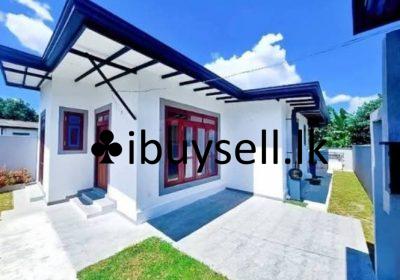 481058463_633071936348510_9136490024512787904_n