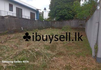 481072427_3547458448889255_3968148636435184338_n