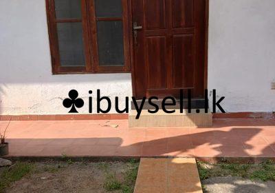 481073602_2400717736928537_921481060232981572_n