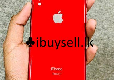 481079555_1155980496258886_310947947309973221_n