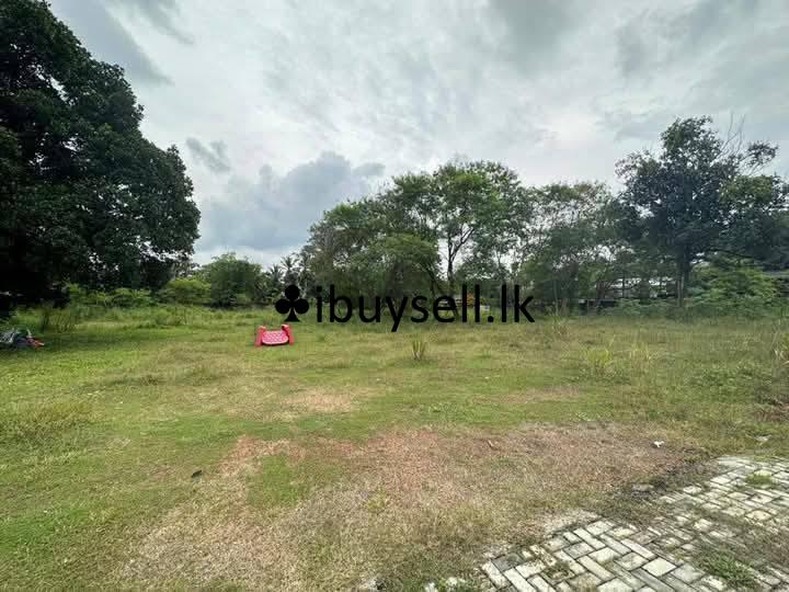 Prime Land For Sale In Pannipitiya – Colombo