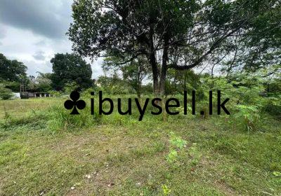 481081731_3576382329172571_3757521927068363176_n