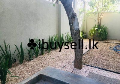 481105063_652360837189714_5218891268452886816_n