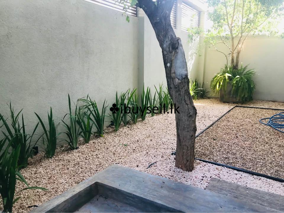 Plant Girl gardening service  and landscaping