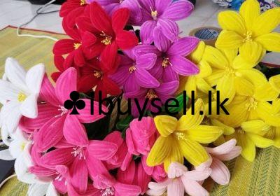 481116285_1190517909743982_4695635973707886717_n