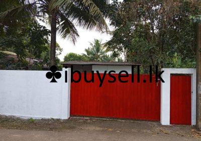 481125683_24094966926758446_2425261598591449433_n