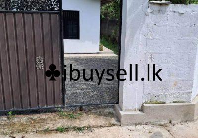 481139086_3705843186374321_3648059990569322892_n