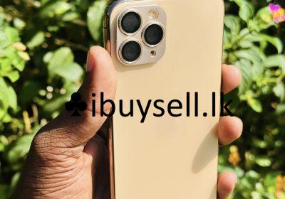 481151624_954437136812830_5627816879773816534_n-1