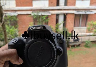 481151965_640345515255444_8688409528729614415_n