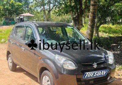 481153717_3847222368926928_4576179612043934297_n