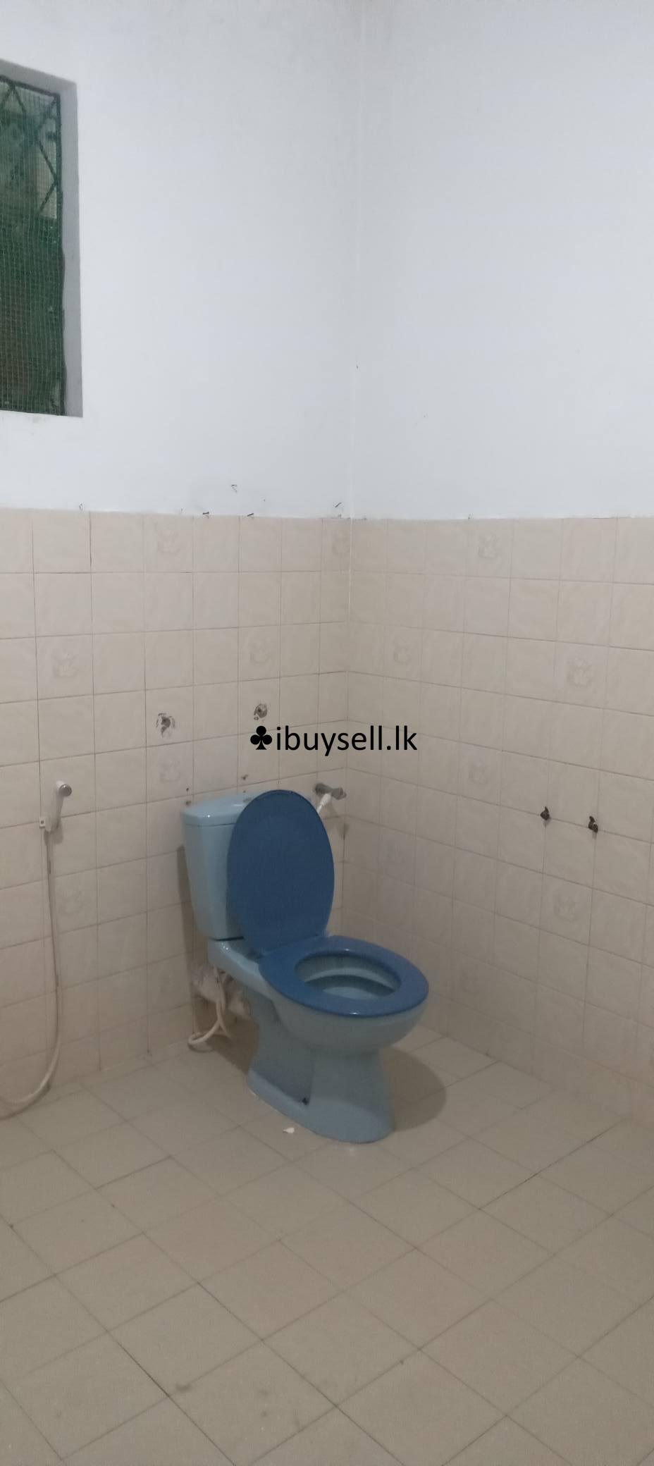 House for rent in Mount lavinia