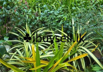 481158910_9270197206428100_3731225886461902171_n