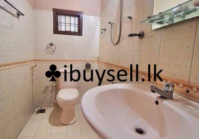 481161212_1233372061798265_87462888138381103_n