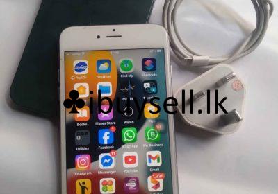 481173558_122140500326393253_5404042080483750792_n