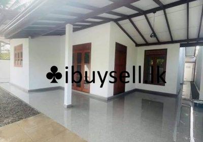 481174299_1264116404682438_2260230412866530602_n