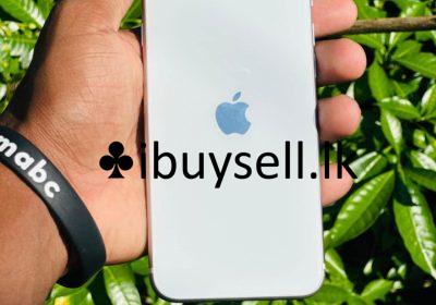 481190540_1178273367412637_3171327833630134031_n