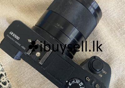 481211297_10222521857433532_2679274486189375891_n