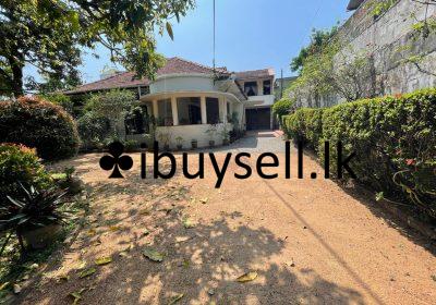 481237204_1164538065681851_7619613661367134263_n