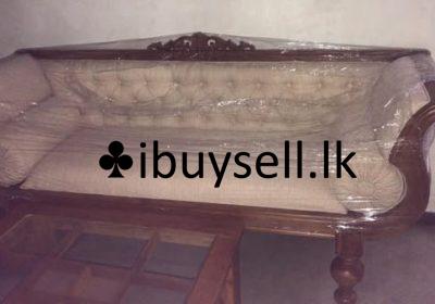 481237941_1377348620110895_7498263783565944367_n