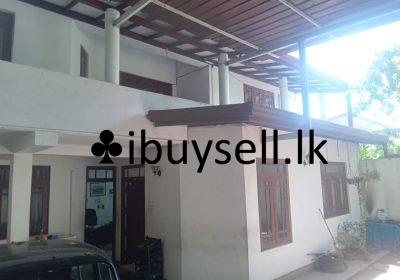 481250199_1773326929944123_8187089161440037719_n