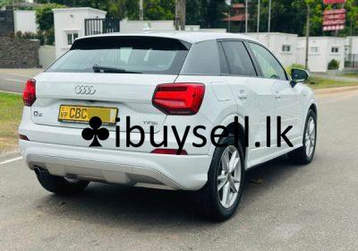 481251192_1951785205651325_1371069018306495953_n