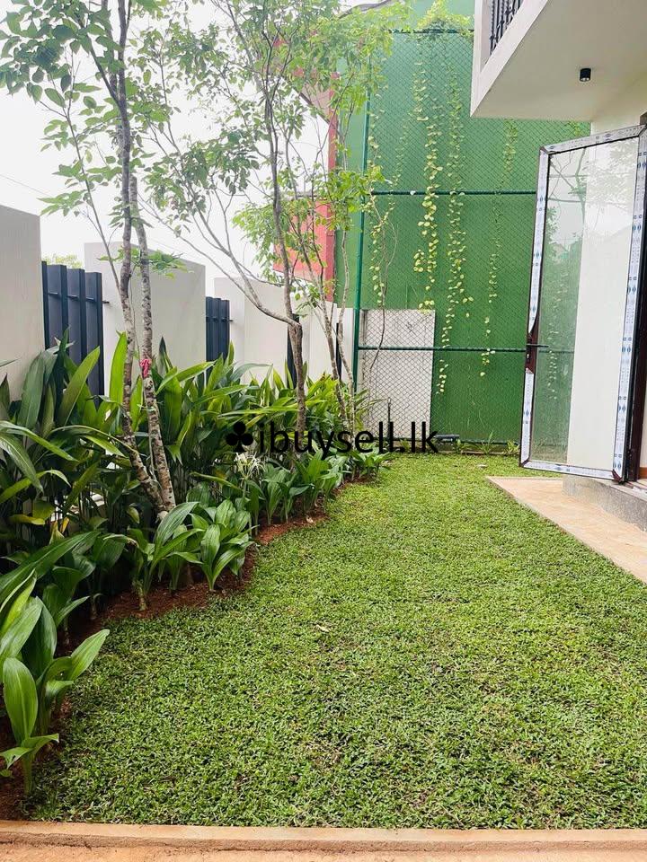 Plant Girl gardening service  and landscaping