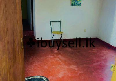 481262229_4552789401526988_2235221149262207139_n