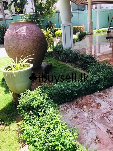 Plant Girl Landscaping Service