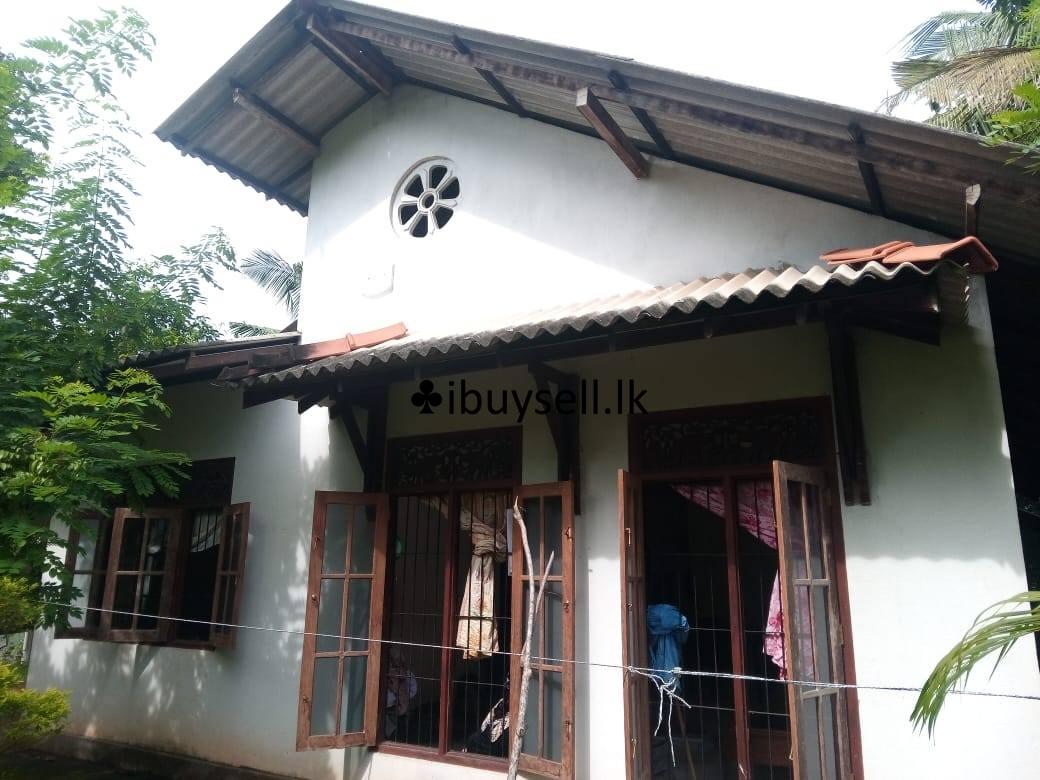 ️Sale for a valuable house… Calm & peaceful environment at Jaela , Yakkaduduwa…