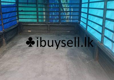 481298218_3988027311472262_1048389257133420386_n