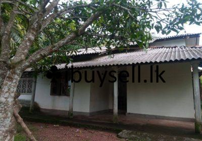 481363404_520380027752000_6655704518649460773_n