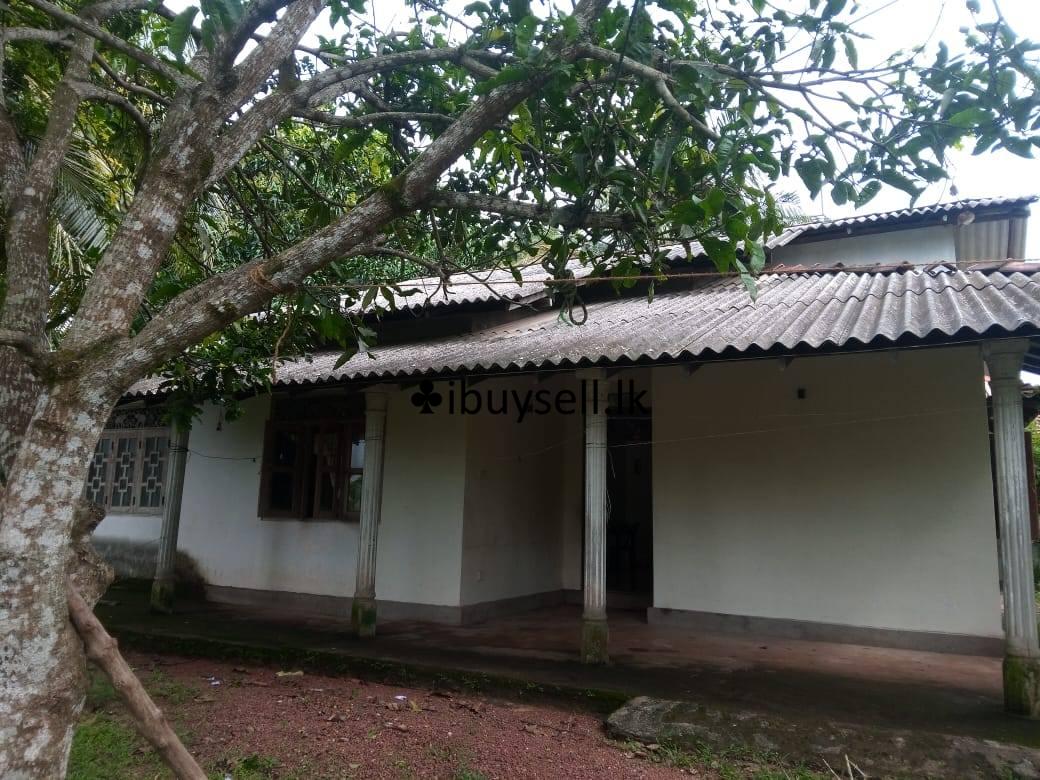 ️Sale for a valuable house… Calm & peaceful environment at Jaela , Yakkaduduwa…
