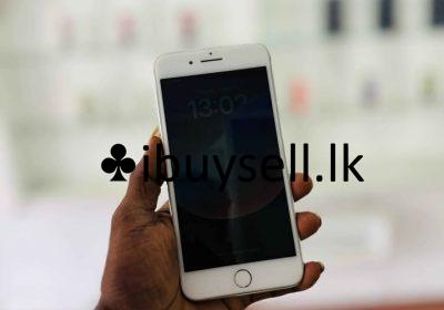 481446712_2449470308737560_7174764760709577650_n