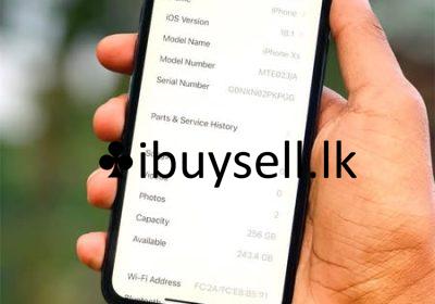 481446981_1160080972239661_1858595821408783459_n