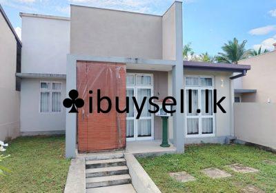 481451127_670132505366952_8105802955061664114_n