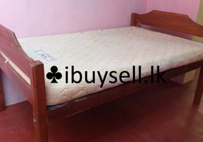 481451981_1211029687254503_1826590045601088225_n