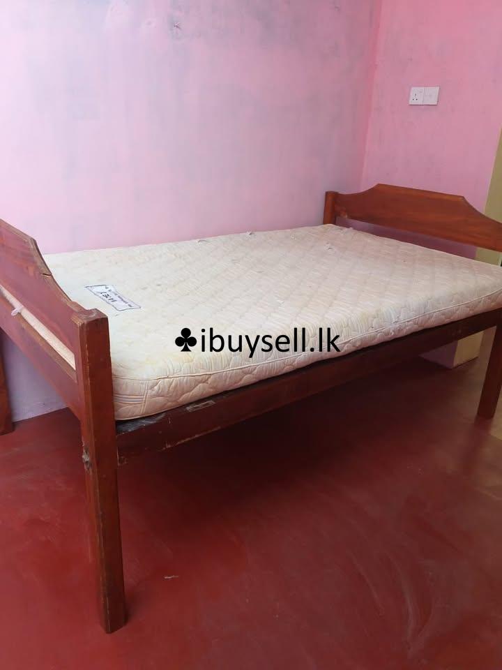 Annex for Rent In Kandy!