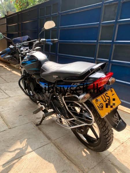Discover 135cc disk model for sale!